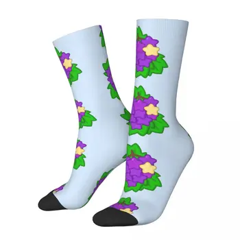 Забавный Сумасшедший Компрессионный Носок для Мужчин Starry Grapes в стиле Хип-Хоп, Винтажная Фруктовая Семья, Счастливый Качественный Носок С Принтом Для Мальчиков